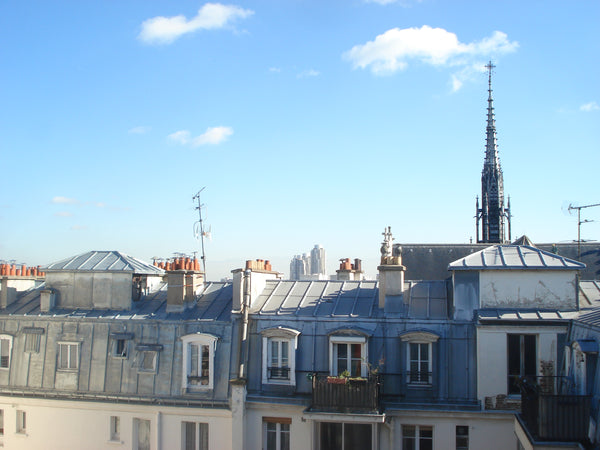 Joli deux pièces typique avec une très belle vue dégagée sur les toits parisiens Paris, France Charmant appart calme et lumineux! Entire rental unit vacation rental 11395071