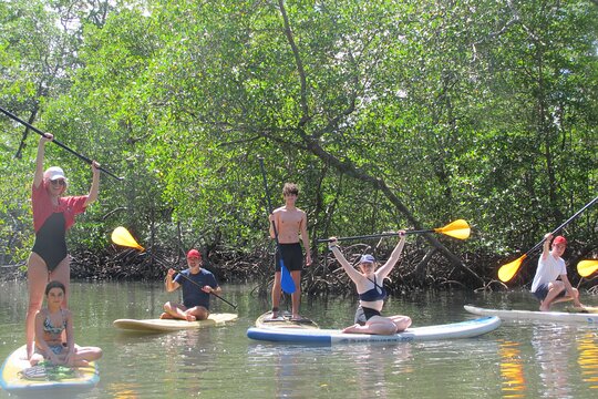  Ecological tour in the mangrove with stand up paddle.  Private Tours and Travel Guide America Sao Paulo REGION Northeast Brazil Destination Tour