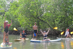  Ecological tour in the mangrove with stand up paddle.  Private Tours and Travel Guide America Sao Paulo REGION Northeast Brazil Destination Tour America Sao_Paulo REGION Northeast Brazil