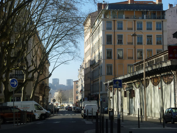 Dans le cadre d'une association d’événements artistiques,  je reçois des artiste Lyon, France Chambre d'hôte pour Artistes. Centre Lyon. Opéra Private room in rental unit vacation rental 28428781