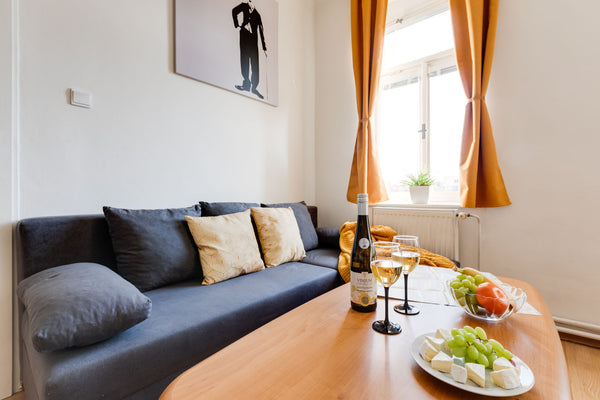 Put your feet on the table and relax in this quiet, stylish apartment with lots  Prague, Czechia Sunshine Apartment near the City center Entire condo vacation rental 592442720505524924