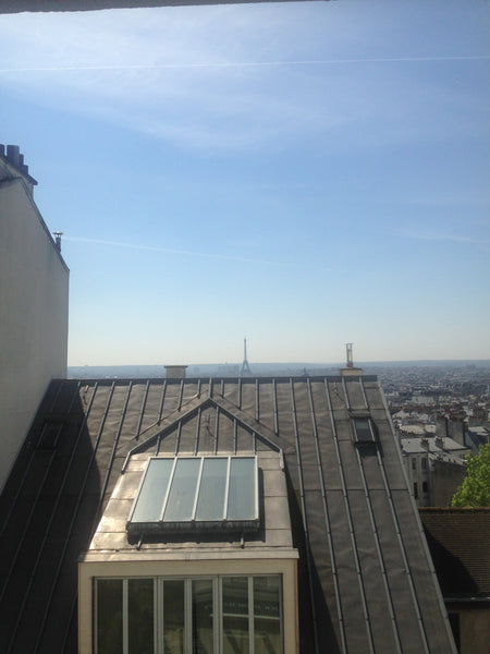 Apartment for 2 people located in the heart of Montmartre /41 m2 <br />Furnished Paris, France MONTMARTRE WITH A EIFFEL TOWER VIEW Entire rental unit vacation rental 6256790