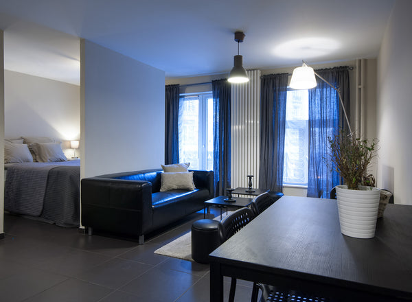 Lugares de interés: Botanique, City 2 Shopping Center,Grand Place, mannekenpis e Brussels, Belgium COSY STUDIO 1B Entire rental unit vacation rental 16218177