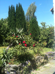 Nous proposons une chambre tout confort avec lit double et volet dans notre mais Brussels, Belgium Quiet Bedroom in Brussels Suburb Private room in home vacation rental 8181537