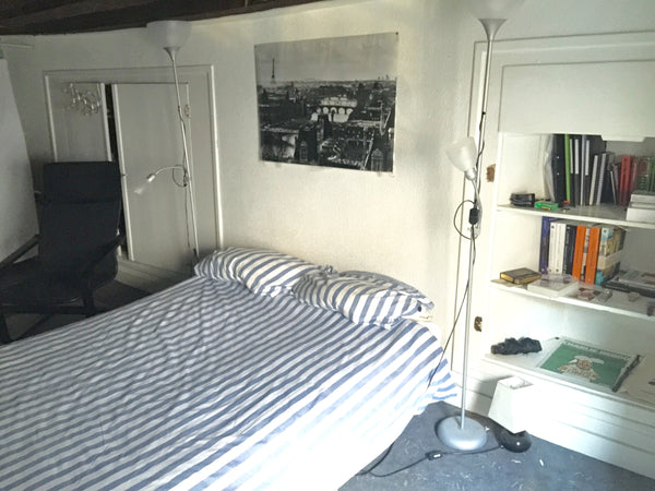 In the centre of Paris next to the river, a shared apartment with a room to spar Oviedo, Spain Grande chambre/Centre de Paris Private room in rental unit vacation rental 9522818