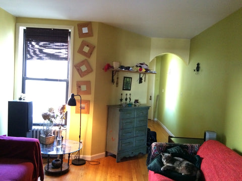 Apartment is cool and neat in the most hip area in new york. Its very clean and  New York, NY Rental unit in Brooklyn · 1 bedroom · 2 beds · 1 bath Entire rental unit vacation rental 10813133
