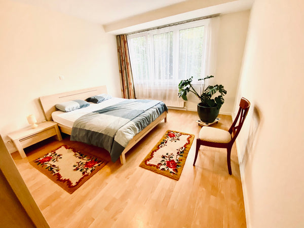 Appartement spacieux et lumineux avec toutes les commodités, bien situé, facile   Bel appartement bien situé, 10 minutes du centre Entire rental unit vacation rental 673222513727537841