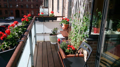 In the middle of centre and yet quiet, no traffic street. Double ( Queen size )  Copenhagen, Denmark Central & quiet Private room in rental unit vacation rental 30174695