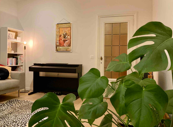 Hi and welcome! this is my little place :)<br />Stay for a citytrip and enjoy a  Antwerp, Belgium Charming Antwerpen! Entire condo vacation rental 48436742