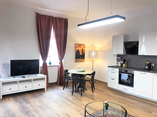 New renovated apartment with living room (including kitchen), bedroom and bathro Vienna, Austria Reumannplatz - 10 min by underground to the center Entire rental unit vacation rental 45924858