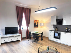 New renovated apartment with living room (including kitchen), bedroom and bathro Vienna, Austria Reumannplatz - 10 min by underground to the center Entire rental unit vacation rental 45924858