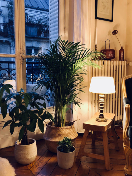 Charmant appartement de 2 pièces de 55 m2, beaucoup de cachet. Situé dans le Sou Paris, France Beau 2 pièces au coeur de Paris Entire rental unit vacation rental 1473907