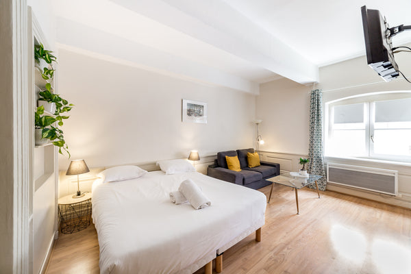 Quiet 38m2 apartment equipped for two people (+ possibility to rent a baby cot).  Calm and ideally located in Bellecour Entire rental unit vacation rental 51761763