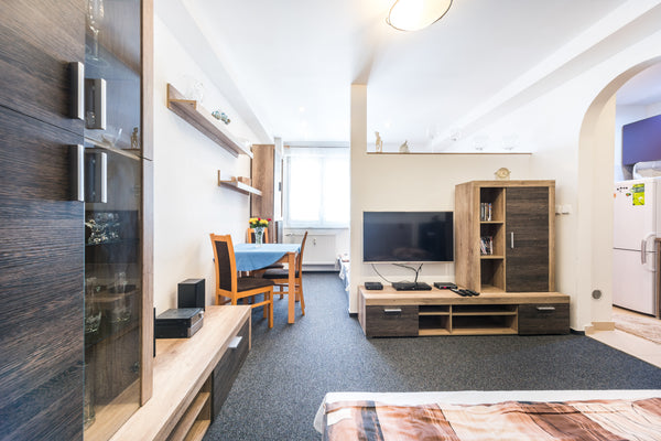 We invite you to a small, cozy apartment with three beds close to the metro Prague, Czechia A cozy apartment just minutes from the center Entire guest suite vacation rental 21621714