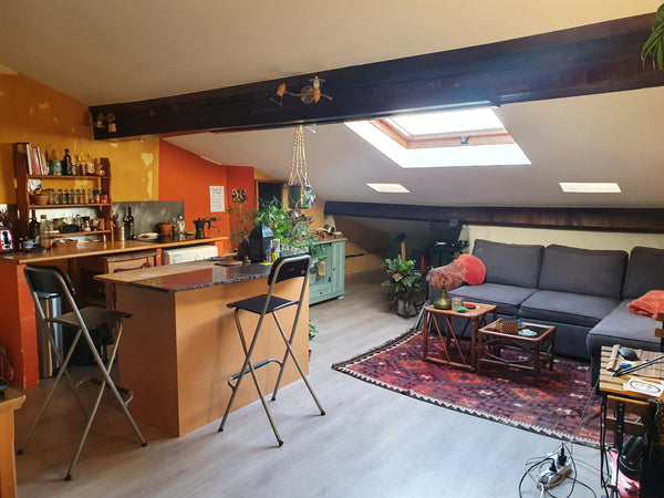 Un charmant appartement dans les pentes de la Croix-Rousse, plein de caractère.  Lyon, France CHARMANT APPARTEMENT PENTES DE LA CROIX ROUSSE Entire rental unit vacation rental 37847243