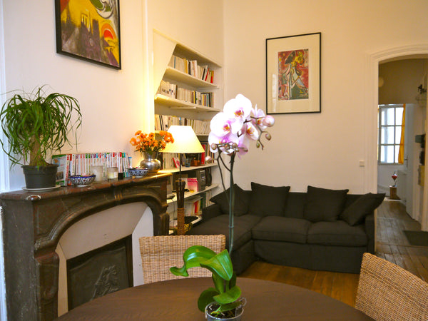 <b>The space</b><br />Beautiful apartment in an ideal location in the center of  Paris, France In center Paris: Montorgueil street Entire rental unit vacation rental 1247742