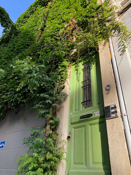 Cosy studio hidden behind Ghent's greenest facade. Fully furnished for a short b Ghent, Belgium Studio Black Cat — Ghent downtown Entire guest suite vacation rental 39495089