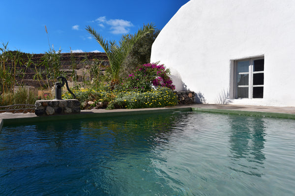 The most unique and life-changing vacation experience awaits you! Located in one  Donkey Farm - 1 Bd Residence with Private Pool Entire villa vacation rental 37900762