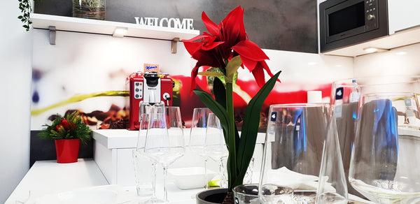 Luxuriöses und modern möbliertes Apartment in Wien mit Loggia nahe Gasometer und Vienna, Austria Apartment Giuliano Vienna 2 Entire rental unit vacation rental 32779679