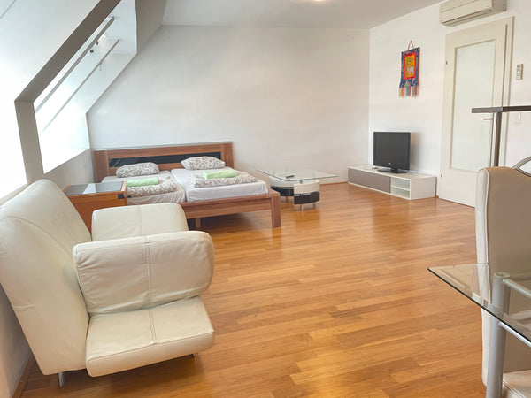 Nice Rooftop room in the historical center -excellent area - gorgeous room - goo Austria Rooftop Room. Private room in bed and breakfast vacation rental 634032636087095475