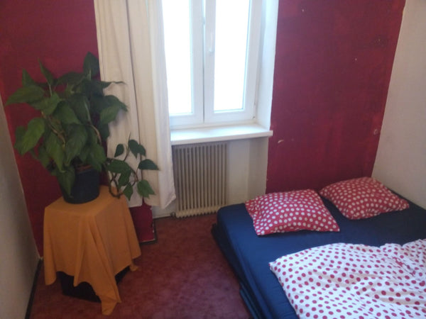 We have a small room for rent in our lovely shared flat! Almost all of Vienna's  Vienna, Austria Small Room nearby Vienna's centre Private room in rental unit vacation rental 6375247