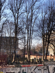 The apartment is close to everything you need for a perfect stay in Copenhagen.  Copenhagen, Denmark Apartment in the heart of Nørrebro, Copenhagen. Entire rental unit vacation rental 589885014664605585