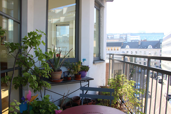 My apartment is located in the heart of Brussels, 10 min walk from the Grande Pl Brussels, Belgium Modern furnished place in the heart of Brussels Entire rental unit vacation rental 35534083