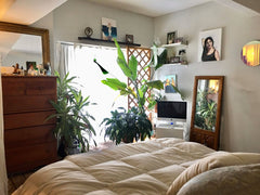 1 MONTH/30 DAYS MINIMUM STAY New York, NY Loft in Brooklyn · 2 bedrooms · 1 bed · 1 shared bath Private room in loft vacation rental 3819136