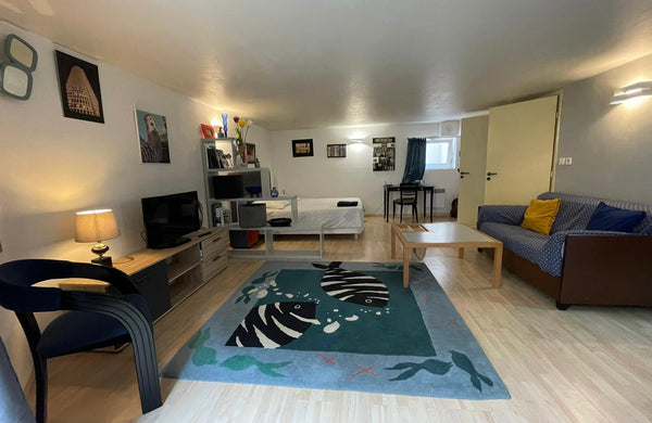 Chambre  type studio  d'une surface de  42m2<br />Située en sous sol d'une maiso Lyon, France Chambre  Studio à Montchat Lyon 69003 Private room in guesthouse vacation rental 31534562