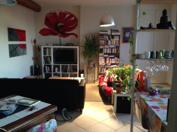 Bel Appartement situé au cœur du plateau de la Croix-Rousse de 70 m2, très lumin Lyon, France appartement de 70 m2 Croix Rousse Entire rental unit vacation rental 9182461