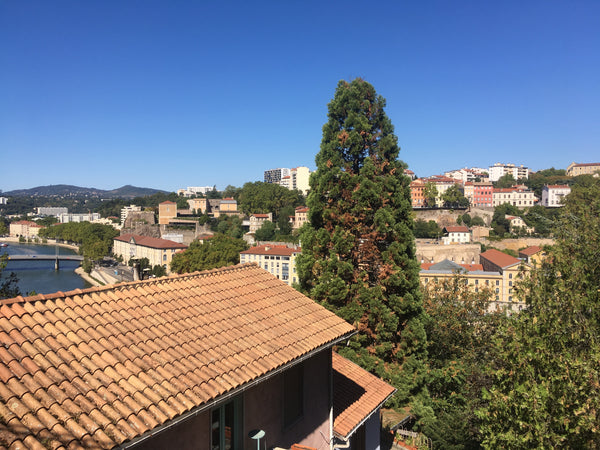 Maison familiale au calme avec jardin située au pied de Fourvière et de la prome Lyon, France La campagne en centre ville Entire guest suite vacation rental 28198431