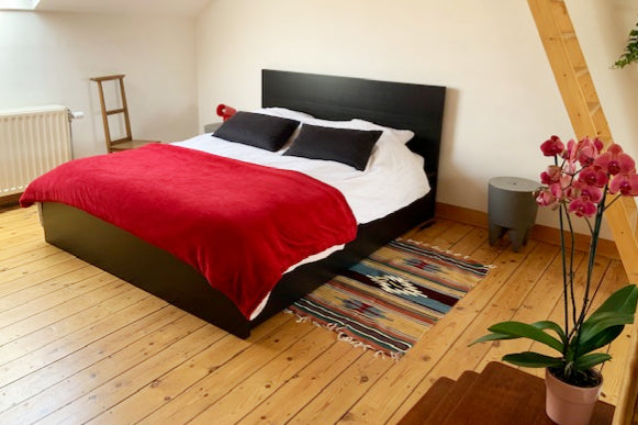Petite maison Bruxelloise idéalement située à 1 minutes à pied du Parc du Cinqua Brussels, Belgium Welcome home! - Quiet and private room Private room in townhouse vacation rental 37561530