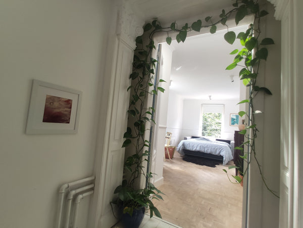 Ik woon hier met mijn zoontje van 4, onze poes en de twee kippen in de tuin. We  Antwerp, Belgium Privé kamer met privé toilet in een gezellig huis Private room in townhouse vacation rental 681060757259069407