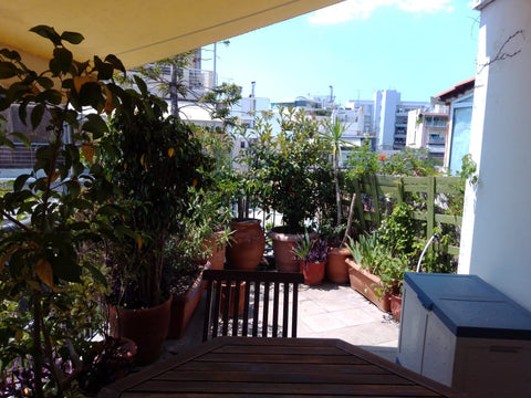 A very classical neat and clean Athenian home perfectly located in central Athen Athens, Attica, Greece Classical Athenian Loft Entire rental unit vacation rental 50783086