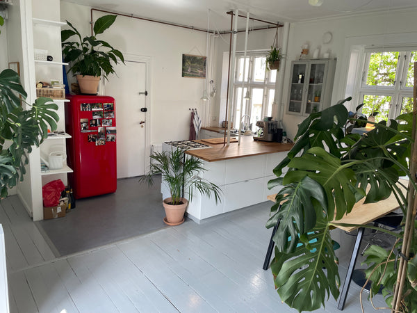 Rummelig og lys lejlighed midt på Indre Nørrebro. Kæmpe gårdhave, tæt på<br />Me  Tropisk lejlighed lige ved søerne Entire condo vacation rental 609146809673815858