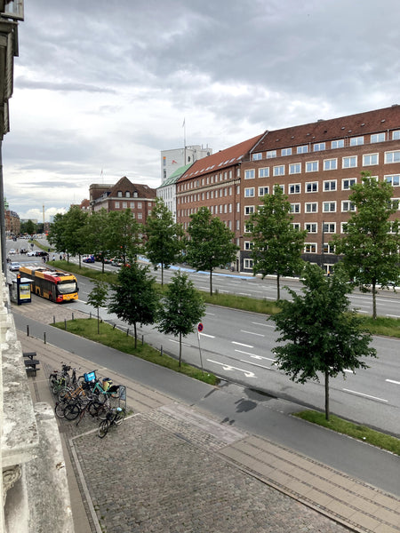 Hi there,<br />We are renting out our lovely 120 m2 room apartment in the heart  Copenhagen, Denmark The heart of Copenhagen Entire condo vacation rental 653560725740583361