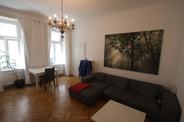 Whole appartment. The flat is located about 200 meters from the Mariahilfer Stra Vienna, Austria Centrally located apartment perfect for couples Entire rental unit vacation rental 13492534