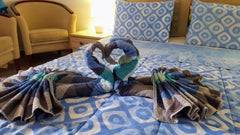 We are a family business.<br /> All rooms and apartments are separate and self-c Greece Pleasure  Room 2  by the sea Room in aparthotel vacation rental 19342178