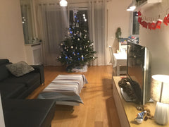 Appartement calme et lumineux, tout confort, de 3 pièces et 2 couchages (1 lit d Paris, France Bel appartement calme 3p - Buttes Chaumont Entire rental unit vacation rental 22184088