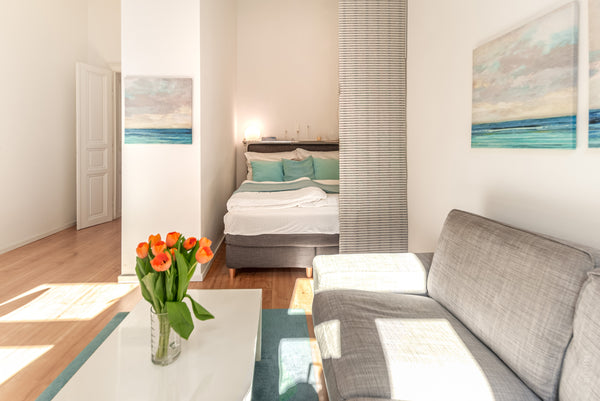 This bright and spacious apartment is a great option for couple.<br /><br /><b>T  ★Luxurious and Bright★5 min walk to city center Entire rental unit vacation rental 570975345861992366