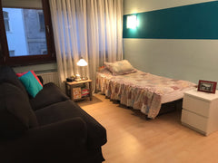 Single room, single bed, a big couch, friendly host:)<br />Just 15 min with the  Vienna, Austria Nice room in center:) Private room in rental unit vacation rental 6787049