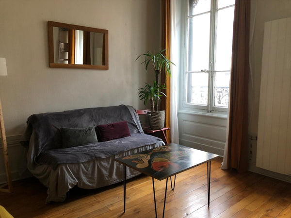 Idéal pour les jeunes couples avec possibilité d'héberger 2 enfants !<br /><br /  Appartement chaleureux, Berges du Rhône Entire rental unit vacation rental 747455756511788397