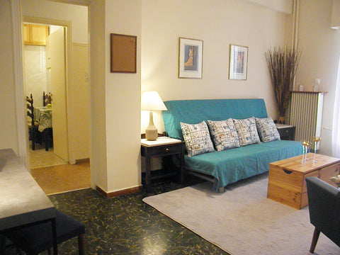 Apartment of 50sqm with bedroom, living room, kitchen and bathroom. Fully equipp GR Efrosini' s apartment Entire rental unit vacation rental 36534700