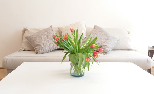 Cosy location right next to the Tube-Station Johnstrasse. The apartment is in a  Vienna, Austria Cosy Apartment 1150 Entire rental unit vacation rental 23037911