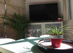 Un bel appartement situé dans une rue calme de Bordeaux. Tram à 50m, commerces d  Très bel appartement dans rue calme à Bordeaux. Entire rental unit vacation rental 641880779312210403