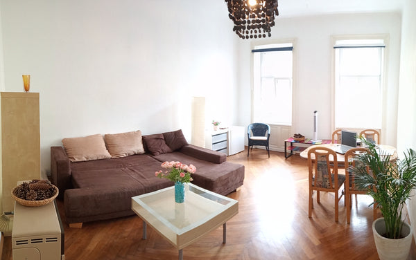 We offer only ***entirely well cleaned and desinfected apartments***, not only b Vienna, Austria NEW OFFER w/HighSpeedInternet**Cozy CityAp 50sqm** Entire rental unit vacation rental 35475032