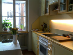 Commodious and individuall two room flat in a very charmant house in the green p Vienna, Austria Charming two room Belle Epoque flat Entire rental unit vacation rental 2086466