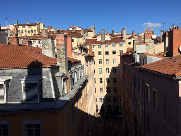 Logement récemment rénové, 1 chambre privative + un canapé convertible très conf  Appartement vue sur les toits Entire rental unit vacation rental 764238779207435291