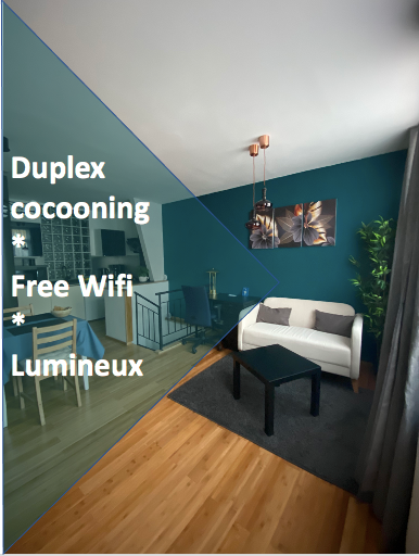 Dans une petite maison typique au REZ DE CHAUSSÉE avant se trouve un duplex coco Brussels, Belgium Duplex Cocooning entre l'Atomium & le centre ville Entire rental unit vacation rental 578270778163907611