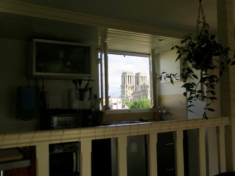 Appartement atypique traversant et lumineux. Au dernier étage, il n'a aucun vis  Paris, France Notre-Dame, Studio traversant 37m2 sous les toits Entire rental unit vacation rental 19955073